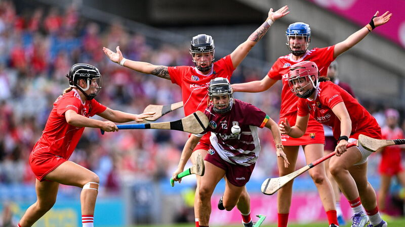 Cork camogie manager Ger Manley left frustrated with ref but proud of Rebels' efforts 