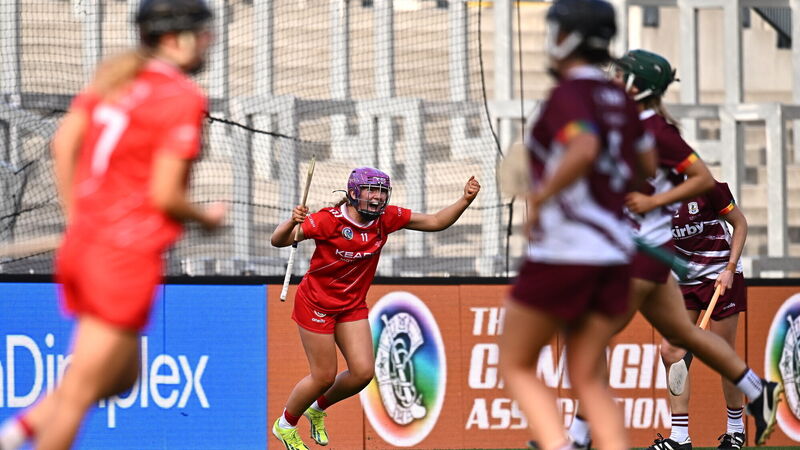 Cathal Murray: 'It could have gone either way, Cork are unbelievable champions'