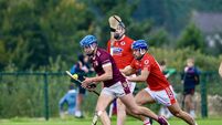 Relegation regulars: Which clubs are most at risk in Cork club hurling?