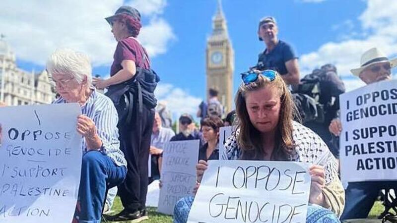 Irish woman describes 'dystopian' experience of arrest at Palestine Action protest Irish woman describes 'dystopian' experience of arrest at Palestine Action protest