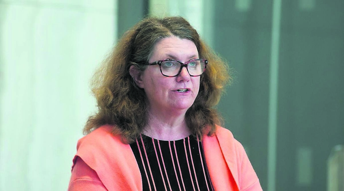 Alcohol Action Ireland CEO Sheila Gilheany: ‘There is an urgent need for early intervention support programmes.’	Picture: Gareth Chaney/Collins
                    