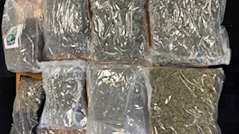 €120,000 cannabis seized and two men arrested in Co Wexford €120,000 cannabis seized and two men arrested in Co Wexford