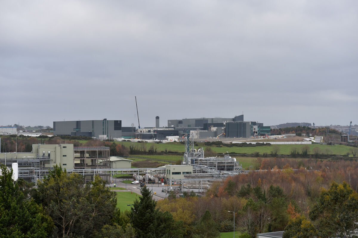Looking towards the site of the Janssen pharmaceutical plant at Ringaskiddy, Cork. Picture Dan Linehan