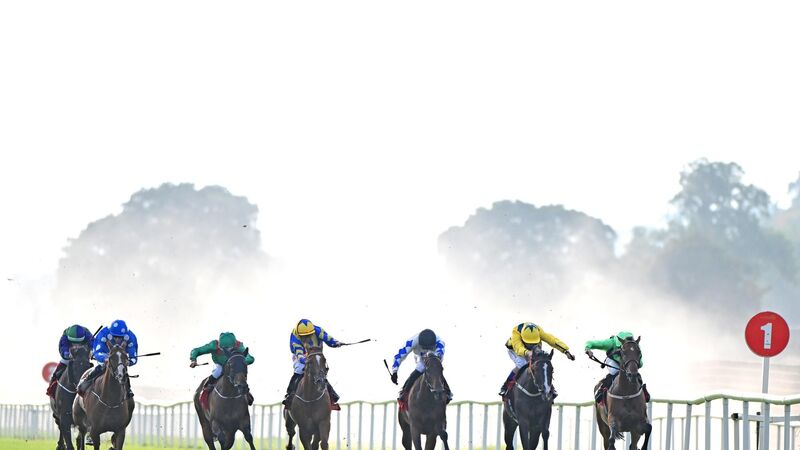Trainer Paddy Twomey lands double at Cork Racecourse