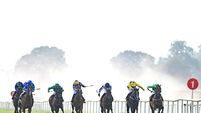 Trainer Paddy Twomey lands double at Cork Racecourse