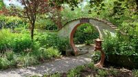 In the garden: Explore this dreamland haven in Cork