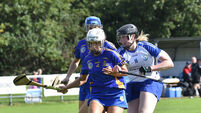 Cork club camogie championships throws in five days after All-Ireland final loss 