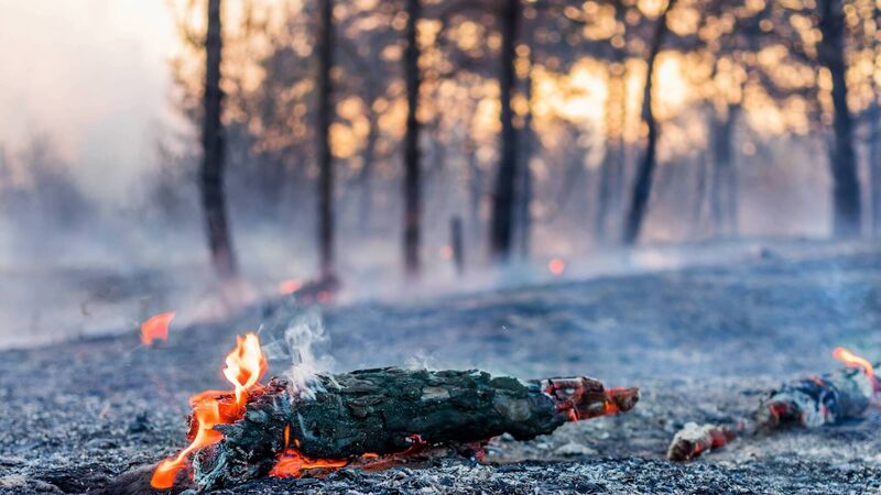 Cork forest fire warning issued as temperatures rise