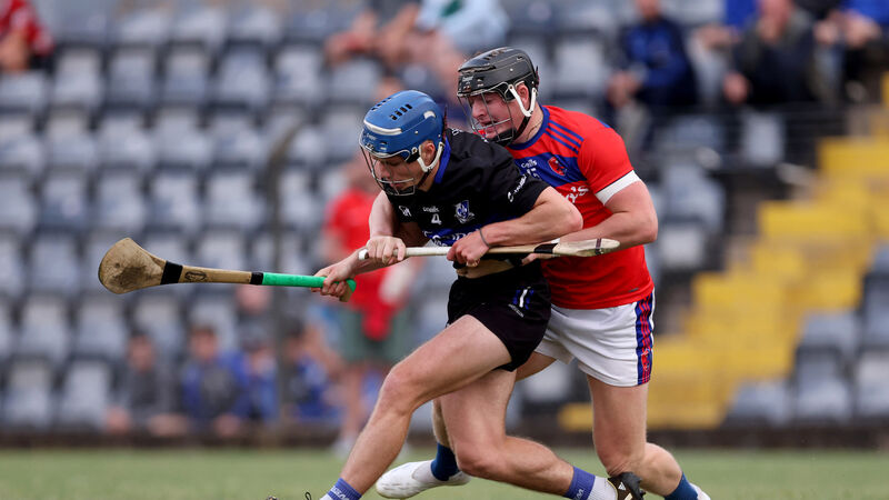Cork PSHC: Outstanding Sars fire 4-30 beyond Erin's Own in dominant win Cork PSHC: Outstanding Sars fire 4-30 beyond Erin's Own in dominant win