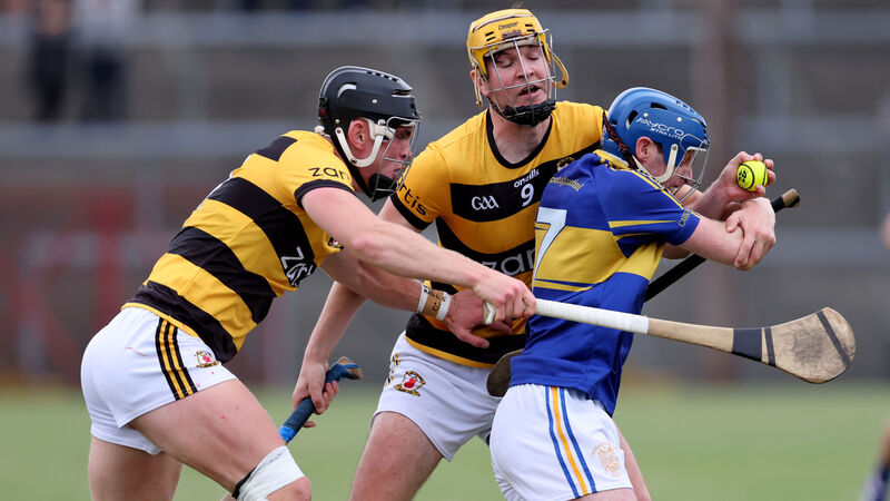 SAHC: 14-man Carrigtwohill prove too strong for disappointing Na Piarsaigh SAHC: 14-man Carrigtwohill prove too strong for disappointing Na Piarsaigh
