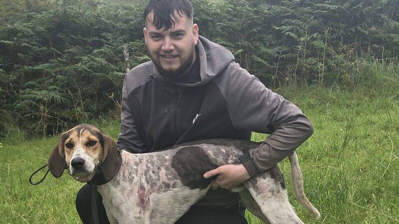 Cork Draghunting: Jamie's Boy lads Munster title in Kerry Cork Draghunting: Jamie's Boy lads Munster title in Kerry