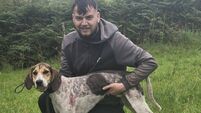 Cork Draghunting: Jamie's Boy lads Munster title in Kerry