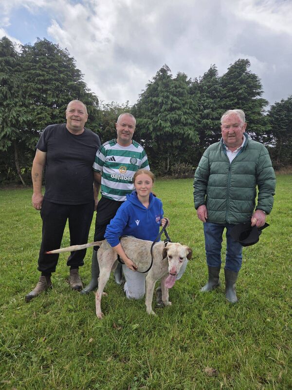 Ava O'Mahony with Don’t Panic Lad of Mayfield, runner up in the Munster Senior draghunt championship at Scartaglin, also included Denis Wall, Troy and Johnny O'Mahony. Ava O'Mahony with Don’t Panic Lad of Mayfield, runner up in the Munster Senior draghunt championship at Scartaglin, also included Denis Wall, Troy and Johnny O'Mahony.