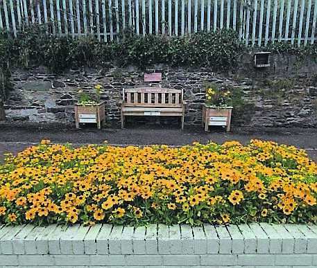 Some of Blackpool Tidy Village’s flower planting. Their work can been seen around the area.