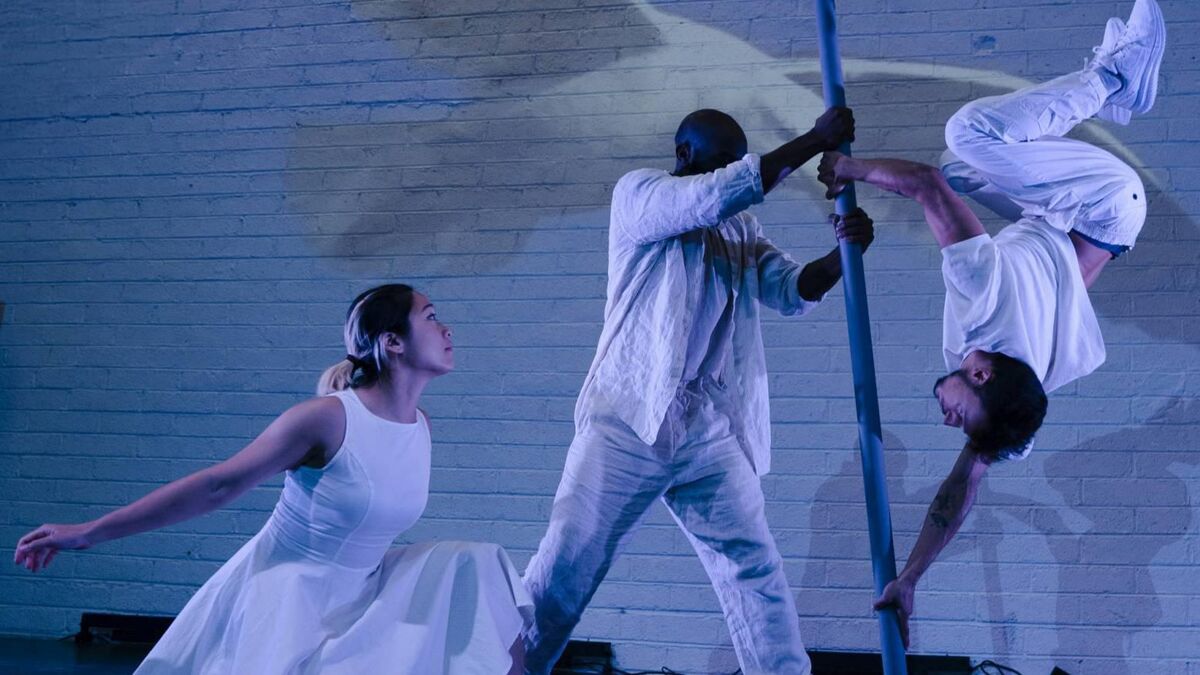 Theatre Nights: Trad music feast, and hip dance act