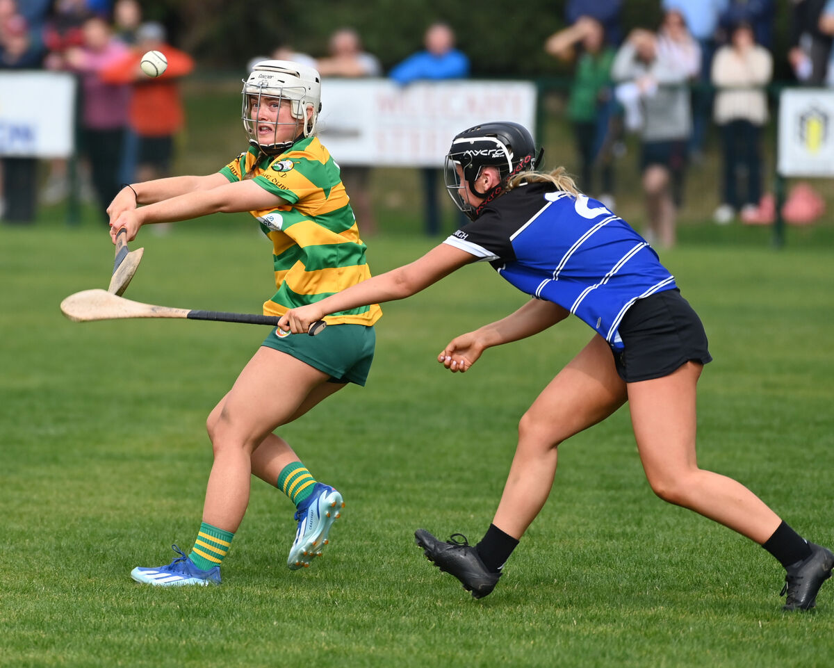 Blackrock's Hayley Ryan shoots as Sarsfields' Rachael Roche moves in to tackle during their SE Systems championship clash last year. Ryan will e one of the players they will look to tonight against the Barrs. Picture: Eddie O'Hare