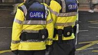 Irish police