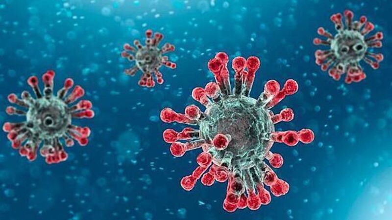 Covid-19 cases rose over the past three months with one death last week Covid-19 cases rose over the past three months with one death last week