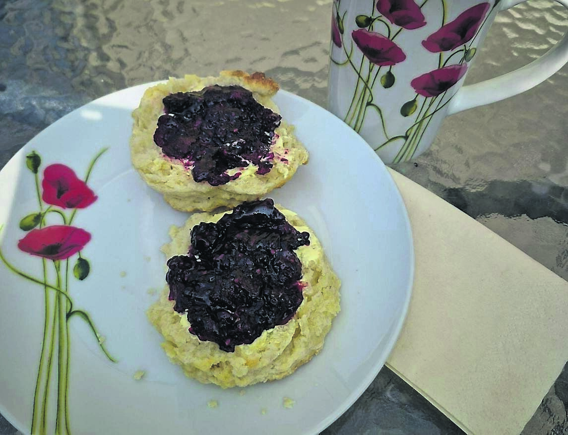 Adrienne’s Blacka Jam is delicious with buttermilk scones and a cuppa. 