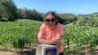 Sandra Maybury: ‘Don’t be afraid to ask for help’