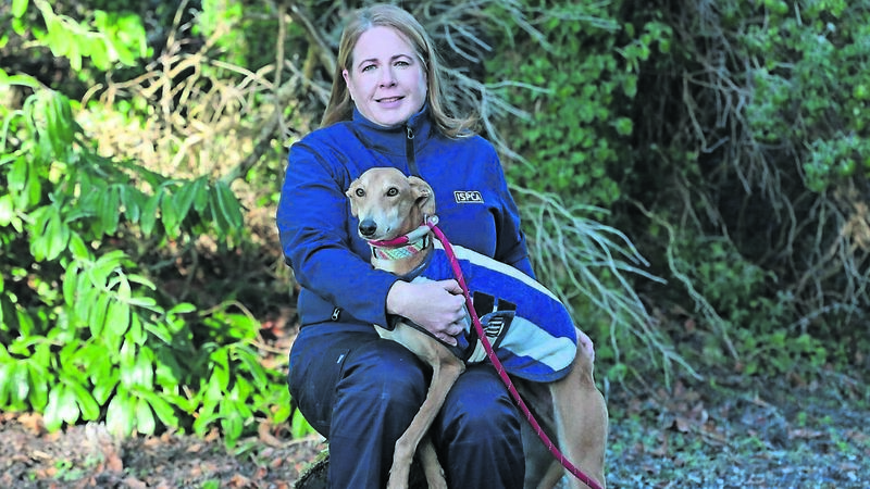 Cork animal welfare inspector: 'You are there as much to help the person as you are the animal'