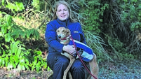 Cork animal welfare inspector: 'You are there as much to help the person as you are the animal'