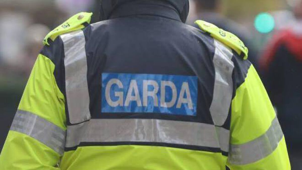 Two men arrested following the seizure of firearms and ammunition in Cork