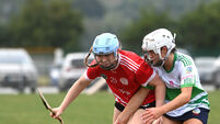 Cork Camogie: Seandún see off Muskerry in 12-a-side game as Mid Cork division short on numbers
