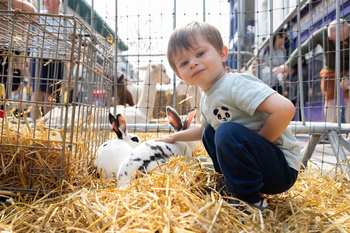 Tom Finn, Turners Cross, enjoying the family fun events on Cornmarket St for the Cork on a Fork Food Festival.	Picture: Darragh Kane
                    