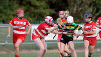 Cork Camogie preview: Glen Rovers keen to build on impressive opening round victory