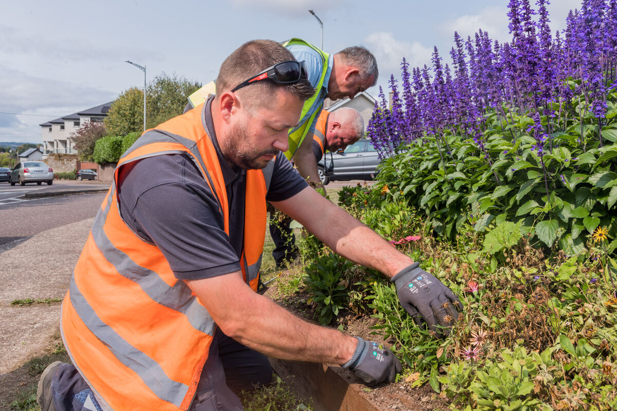Cork City Council workers Bryan Crowley, Martin Horgan, and Liam Coll of the Parks Department tend to weeding at the junction on Skehard Rd and Well Rd. Picture: David Creedon
Cork City Council workers Bryan Crowley, Martin Horgan, and Liam Coll of the Parks Department tend to weeding at the junction on Skehard Rd and Well Rd. Picture: David Creedon