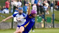Camogie champions St Finbarr's have too much firepower for Inniscarra