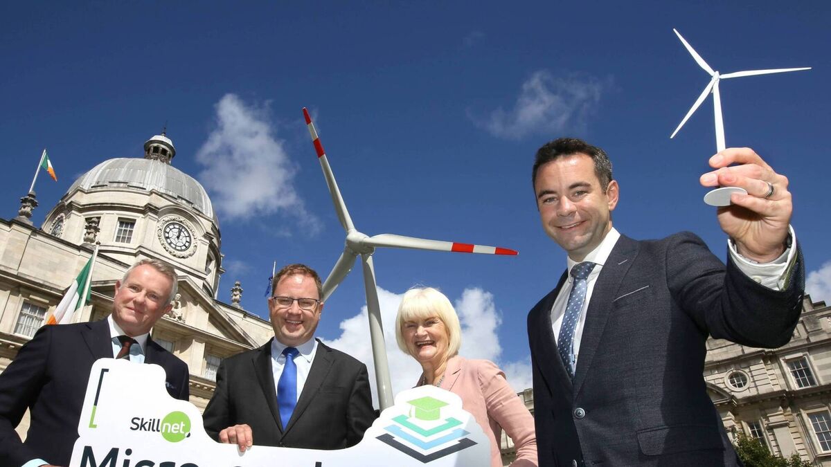Cork universities to get 12 wind-energy courses