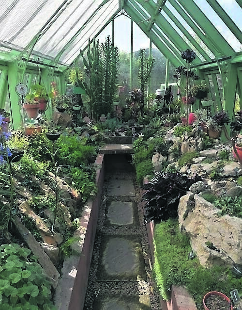 The inside of the glasshouse there The inside of the glasshouse there