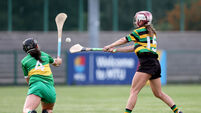 Cork Camogie: Katie Walsh fires two goals as Glen Rovers beat Cloughduv