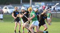John Horgan on hurling: Split-season is huge success but we can still extend county action into August