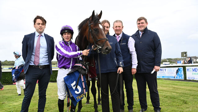 <p> Tipperary 31-August-2025</p>