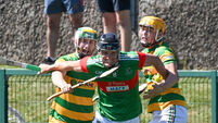 John Horgan picks the best club hurling games to attend in Cork this weekend