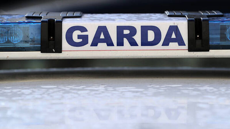Woman (70s) dies after being stung by bees in Co Mayo Woman (70s) dies after being stung by bees in Co Mayo