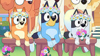 Bluey_S3_The Sign