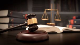 <p>The defendant asked for a much shorter adjournment so that he would not be in custody for a fortnight if the independent surety was available within days.</p>