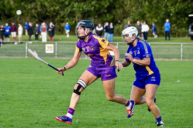 Laura Hayes drives onto the sliotar. Picture: Chani Anderson Laura Hayes drives onto the sliotar. Picture: Chani Anderson