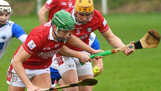 <p>Ben Cunningham and Micheál Mullins will be hoping to get a chance to shine under Ben O'Connor. Picture: Eddie O'Hare</p>