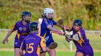 Cork camogie champions St Finbarr's move on unbeaten after test from St Catherine's