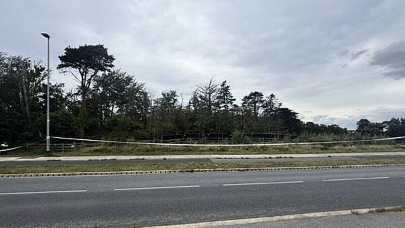 Search for missing boy feared dead continues in Dublin Search for missing boy feared dead continues in Dublin