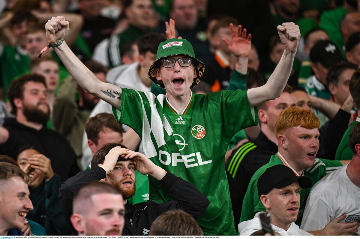 Joy for Irish fans at the Aviva. Picture: David Fitzgerald/Sportsfile