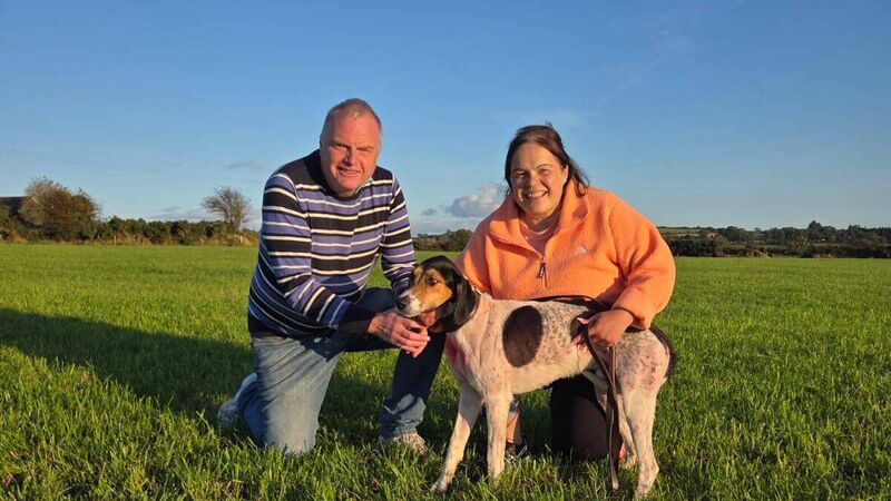 Zodiac Jack of Southern/Carrigaline harriers wins the Shanakiel Harriers Senior draghunt Zodiac Jack of Southern/Carrigaline harriers wins the Shanakiel Harriers Senior draghunt
