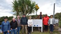Cliff walk in Cork receives €30k boost