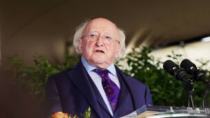 <p>The race to succeed Michael D Higgins as president will shift into gear this week. </p>