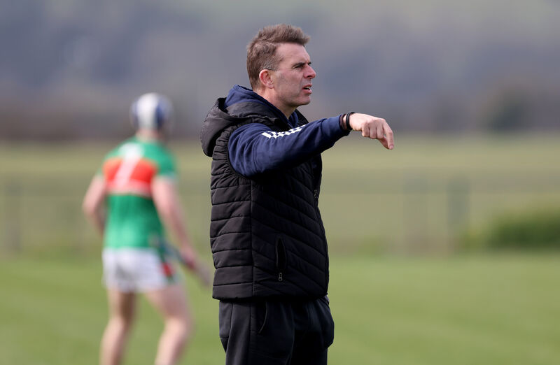 Sarsfields manager Johnny Crowley. Picture: Jim Coughlan Sarsfields manager Johnny Crowley. Picture: Jim Coughlan
